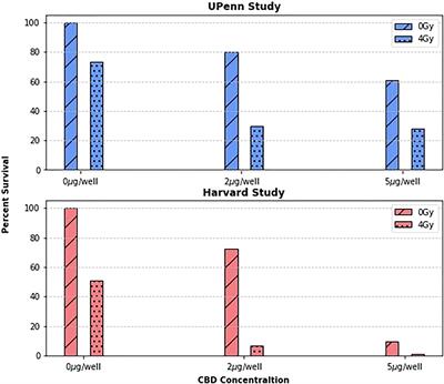 Phytoradiotherapy to enhance cancer treatment outcomes with cannabidiol, bitter melon juice, and plant hemoglobin